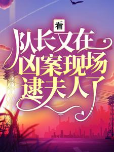 完整版《看，队长又在凶案现场逮夫人了》薛文博林错小说免费在线阅读