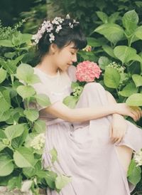 退婚后大佬她又美又飒