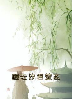 顾云汐君楚玄