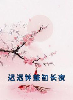 迟迟钟鼓初长夜