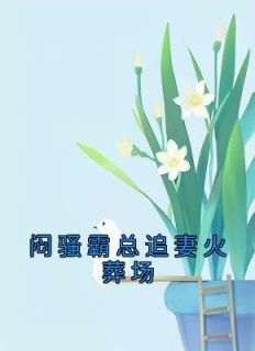 闷骚霸总追妻火葬场