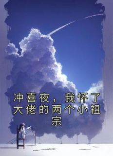 冲喜夜，我怀了大佬的两个小祖宗