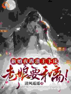 新婚夜踢渣王下床，老娘要和离！