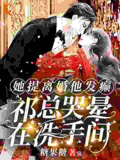 《她提离婚他发癫，祁总哭晕在洗手间》阮山柳祁夜南免费全章节目录阅读