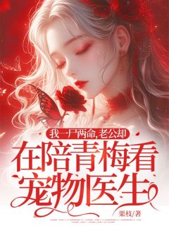 我一尸两命，老公却在陪青梅看宠物医生小说(连载文)-贺君城孟夏无广告阅读
