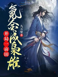 抖音爆款小说《开局一亩田，氪金成枭雄陆川郑大丫》免费txt全文阅读
