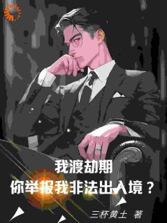 我渡劫期，你举报我非法出入境？