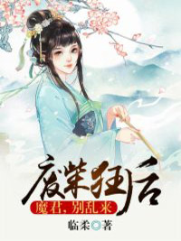 废柴狂后：魔君，别乱来小说(完结)-月无痕赫连皓章节阅读
